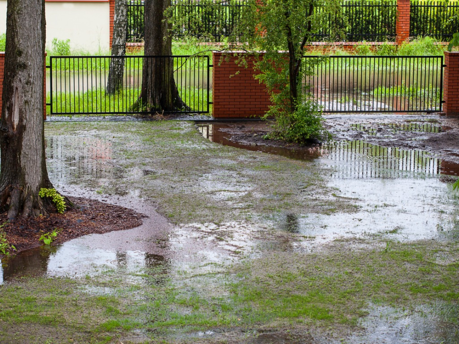 How to Get Your Yard to Drain