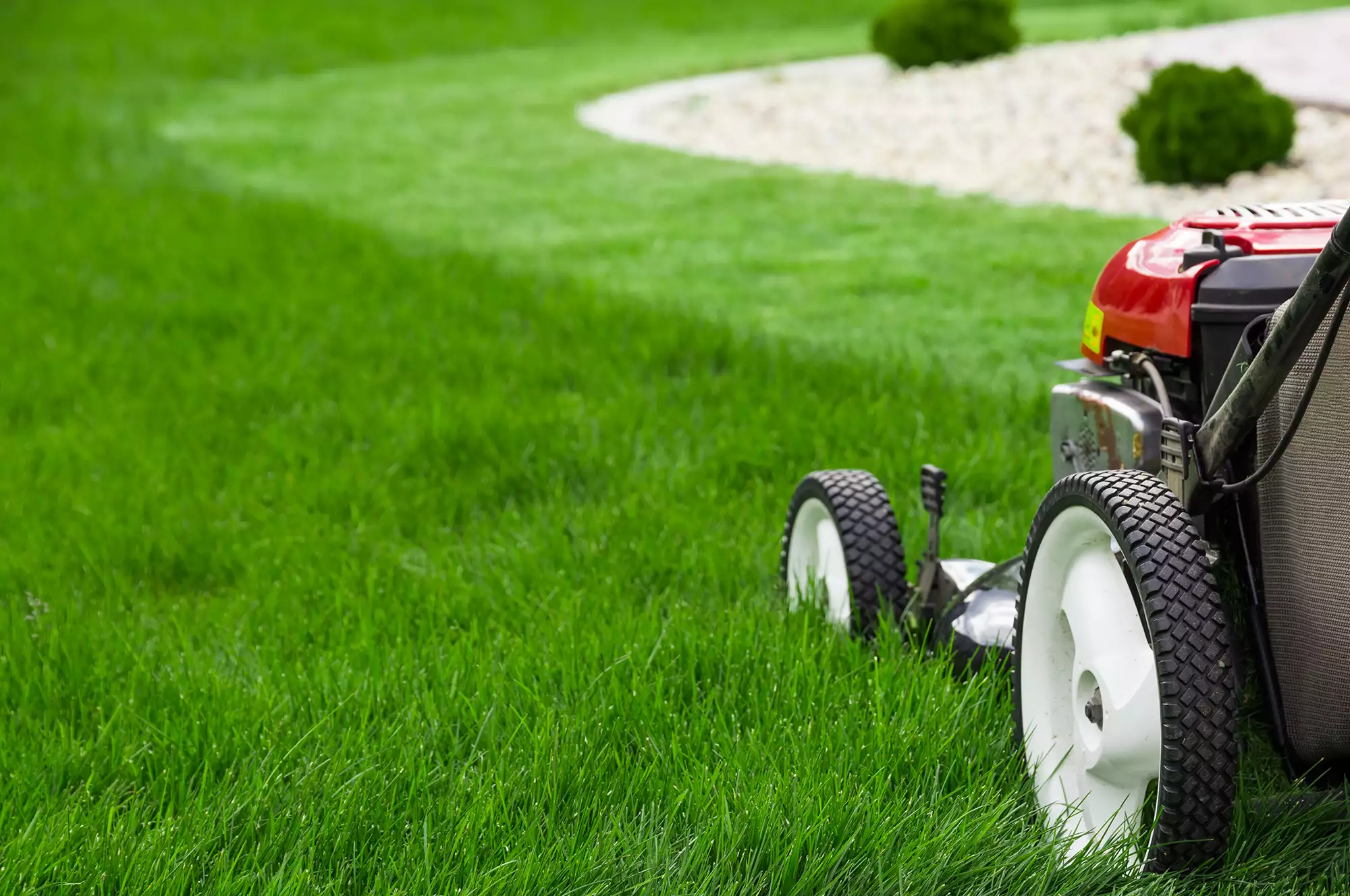 Lawn Care & Maintenance